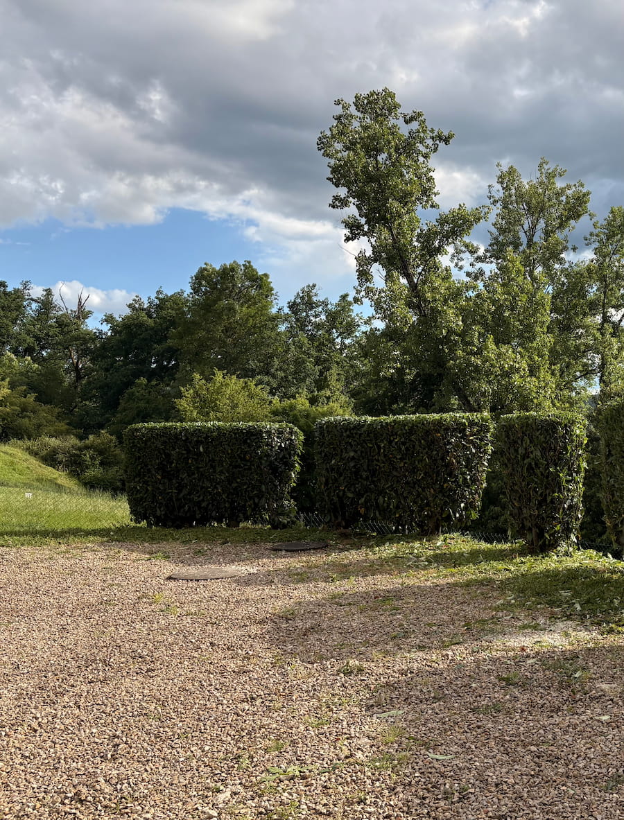 Après désherbage jardin